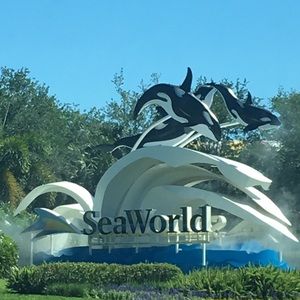 Meet your Posher, Lechi